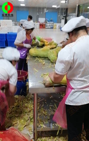 工程售后團(tuán)隊(duì)現(xiàn)場(chǎng)考察江西客戶(hù)生產(chǎn)現(xiàn)場(chǎng),提供整套瓜果加工設(shè)備方案！